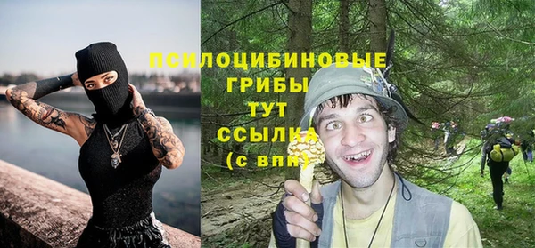 крисы Осташков