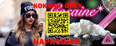 индика Гатчина