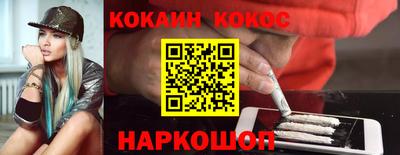 индика Гатчина
