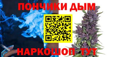 индика Гатчина