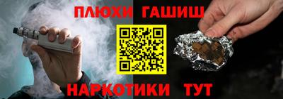 индика Гатчина