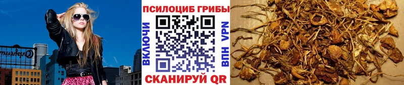 Псилоцибиновые грибы ЛСД  hydra вход  Тихорецк 