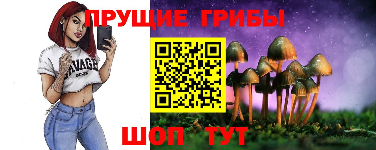 Тихорецк  Галлюциногенные грибы MAGIC MUSHROOMS  Вход с VPN 