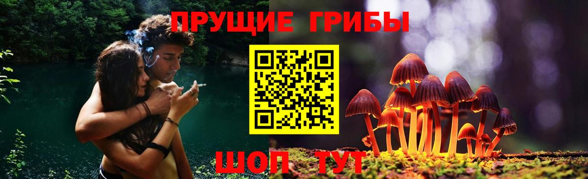 Псилоцибиновые грибы GOLDEN TEACHER Тихорецк